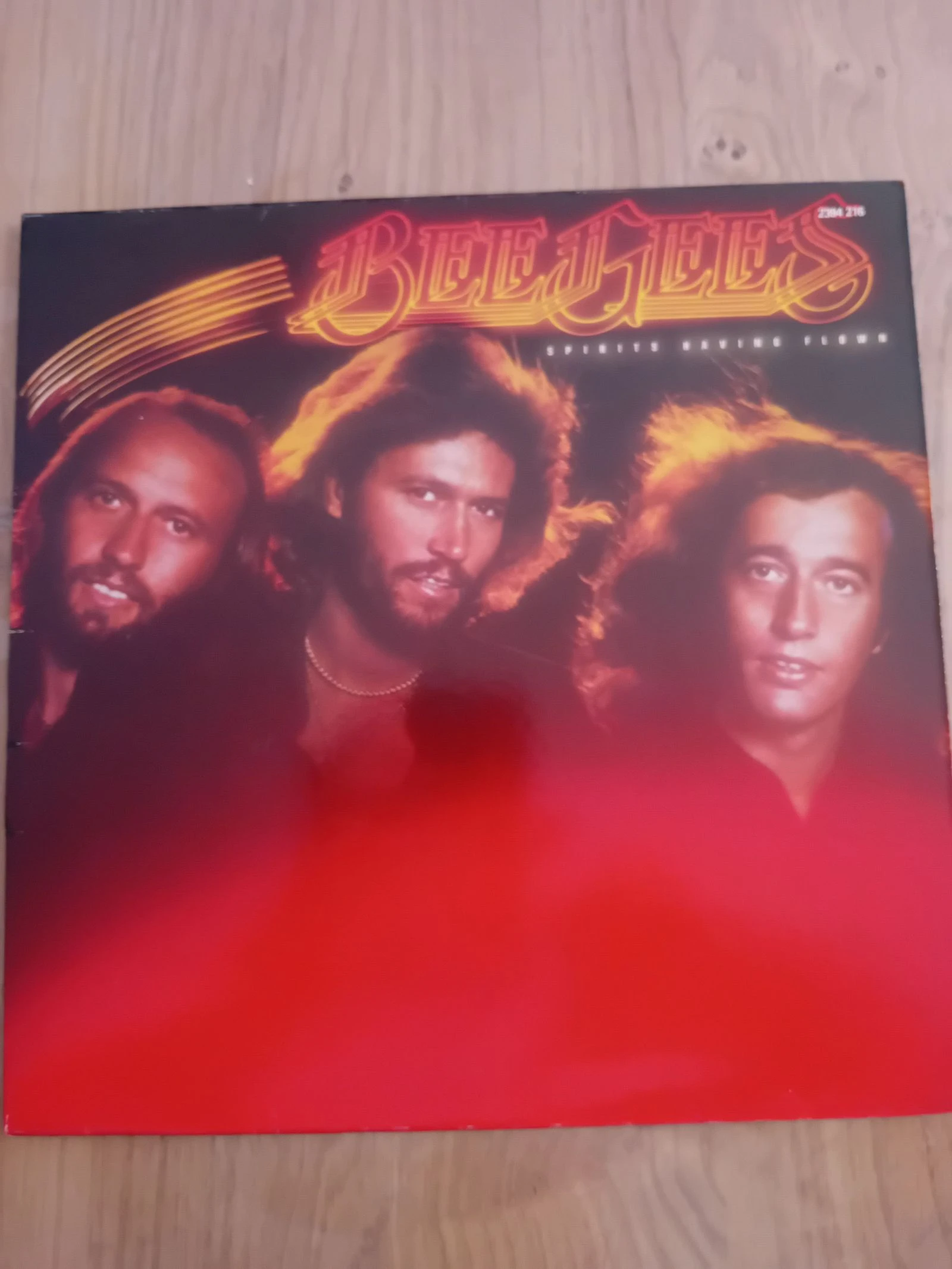 Lp 33t  Bee Gees spirit having Flown 1979